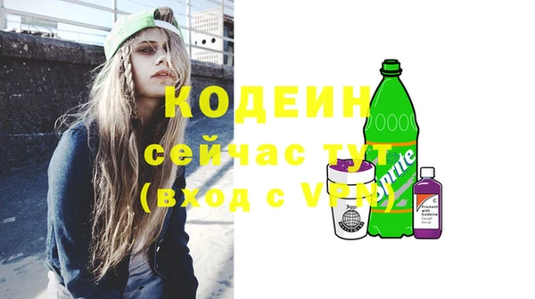 гашик Осташков