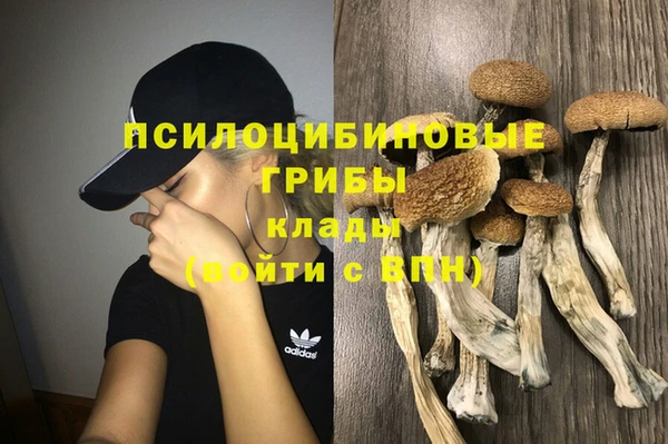 mdma Дедовск