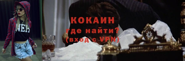 гашик Осташков