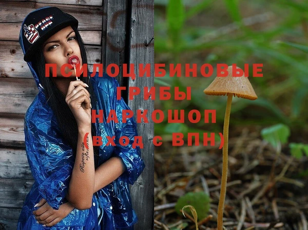 mdma Дедовск