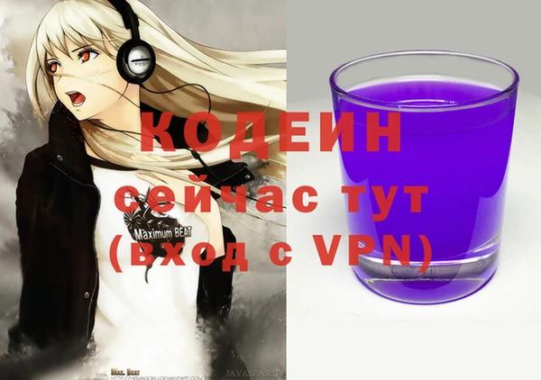 гашик Осташков