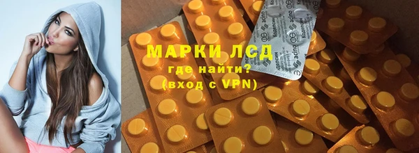 гашик Осташков