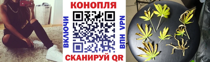 Бошки марихуана план  цены наркотик  Фатеж 